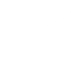 New Zealand Silver Fern
